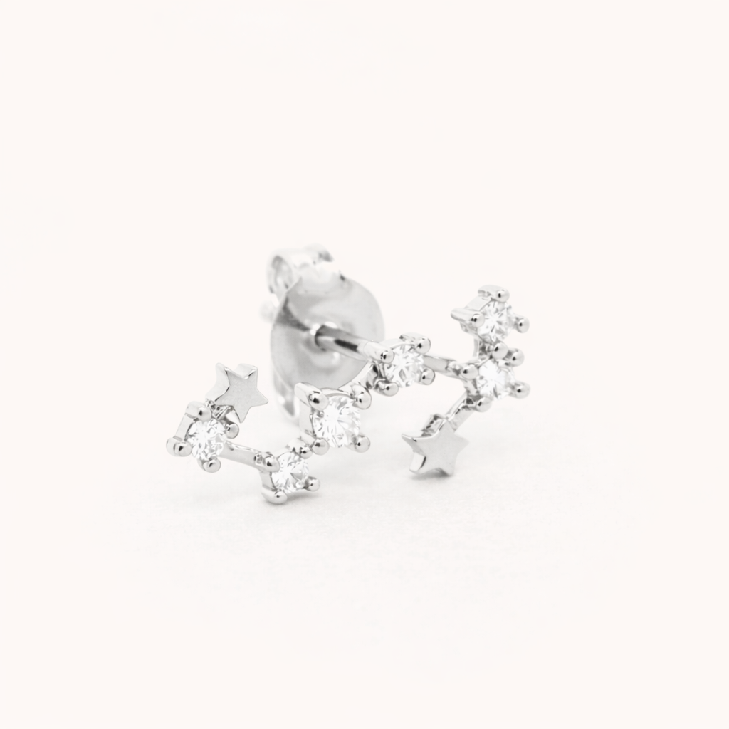 Zodiac Stud EARRINGS