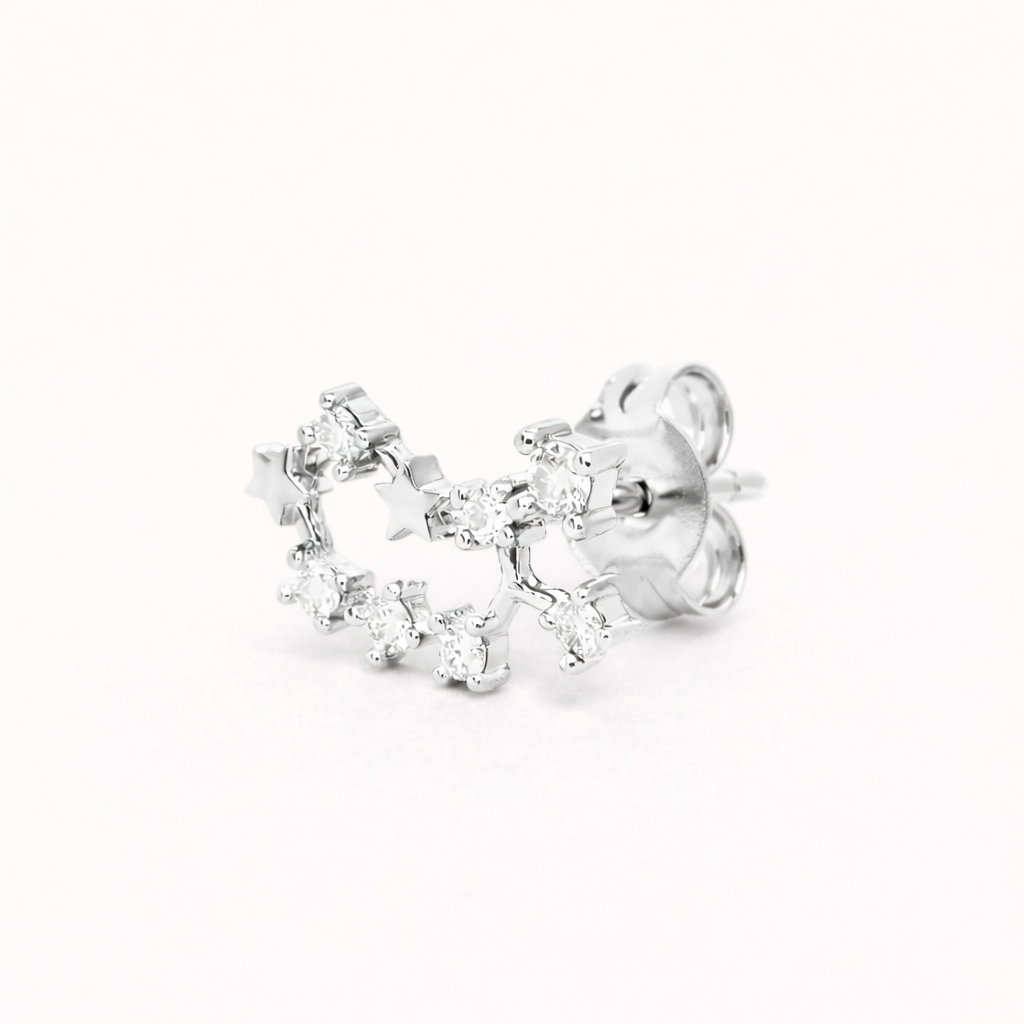 Zodiac Stud EARRINGS
