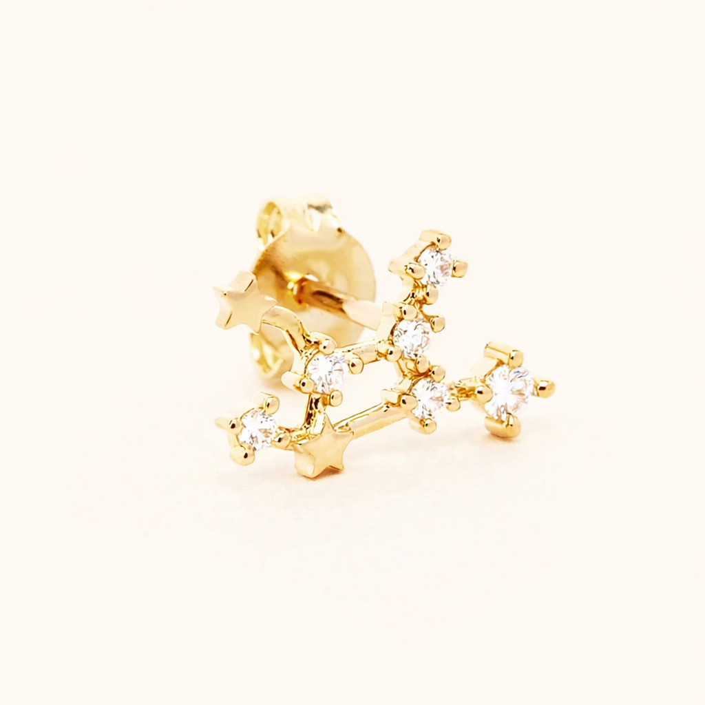 Zodiac Stud EARRINGS
