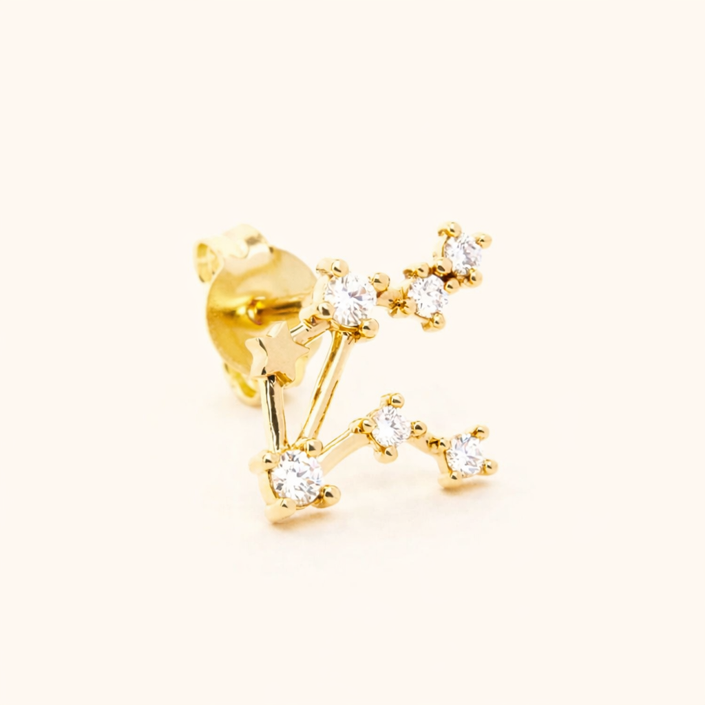 Zodiac Stud EARRINGS