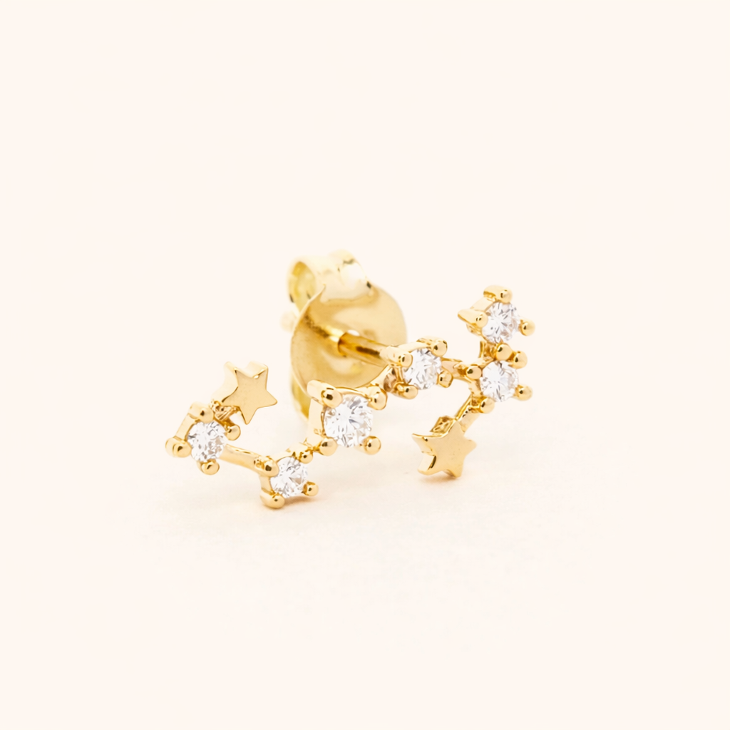Zodiac Stud EARRINGS