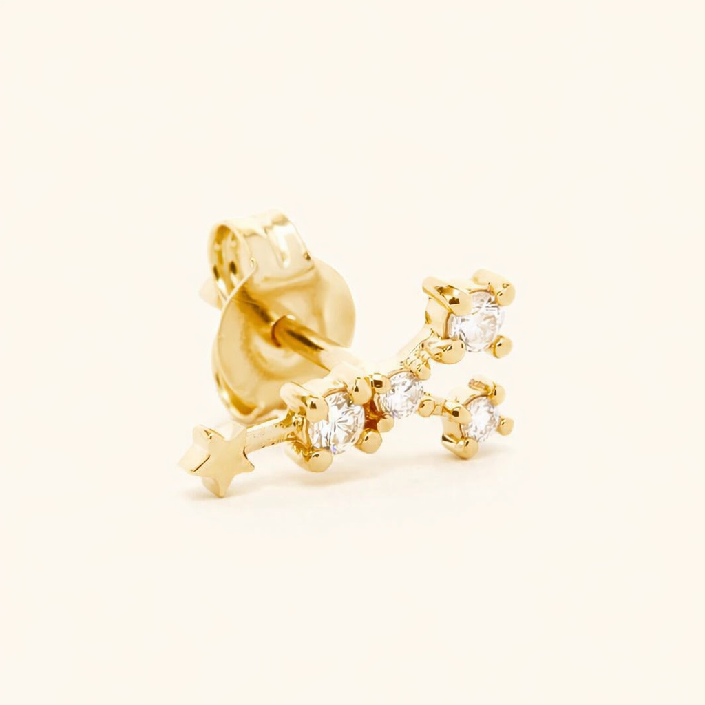 Zodiac Stud EARRINGS