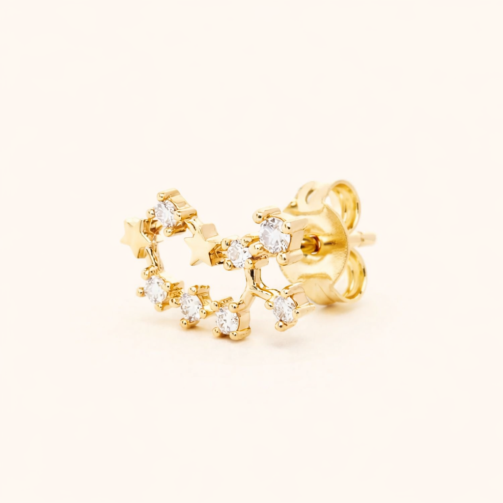 Zodiac Stud EARRINGS