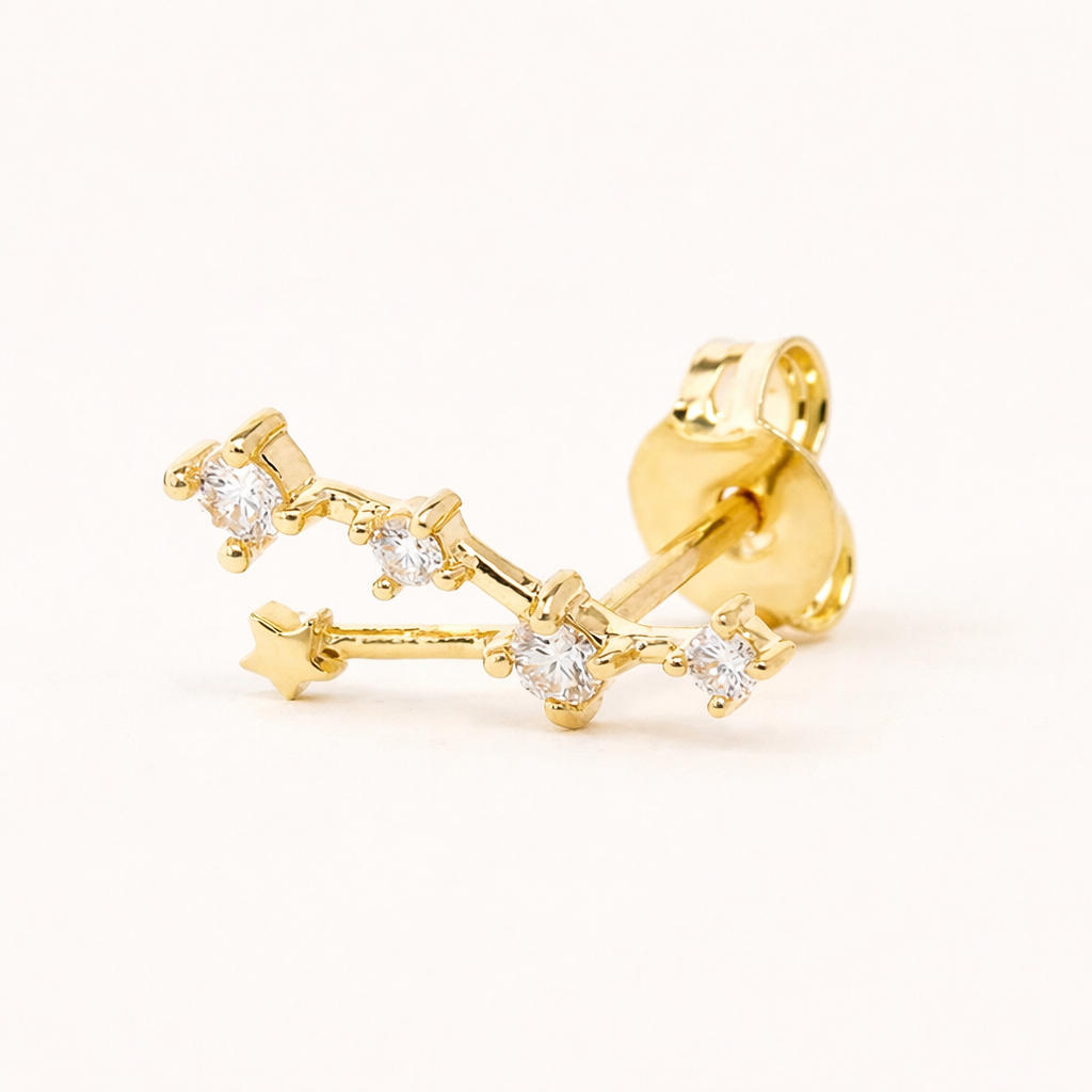 Zodiac Stud EARRINGS