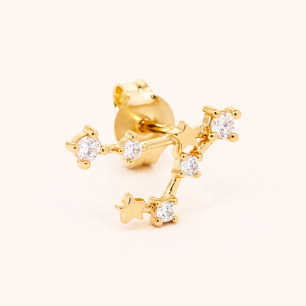 Zodiac Stud EARRINGS