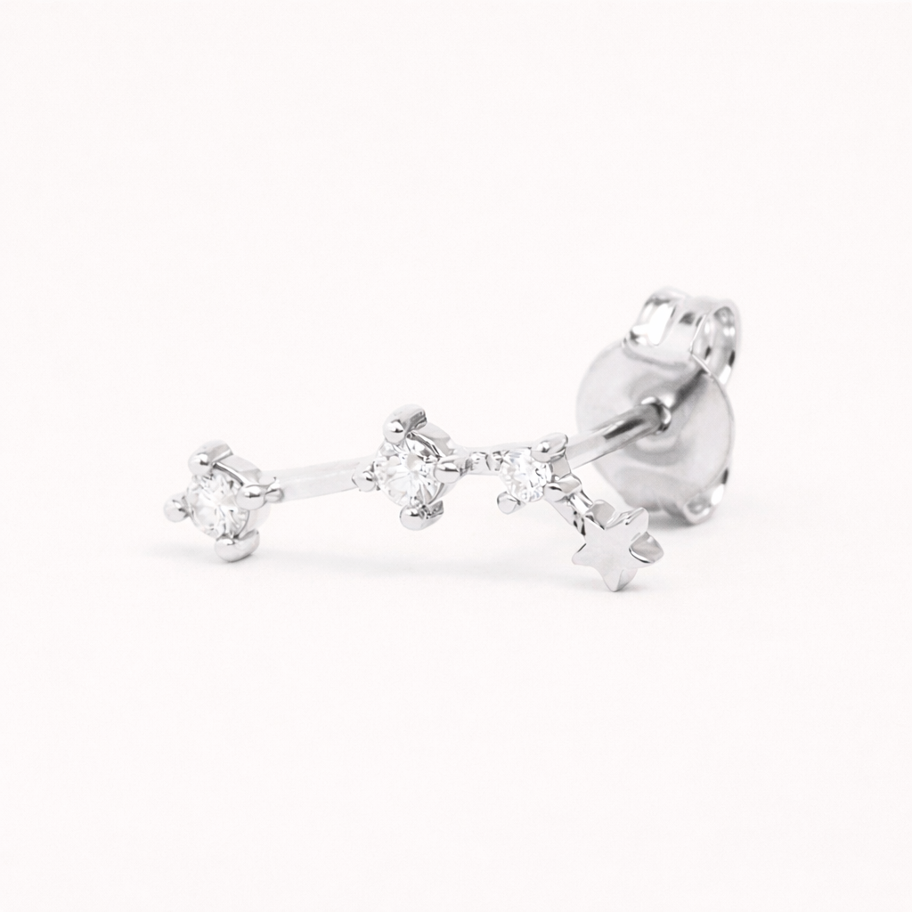 Zodiac Stud EARRINGS
