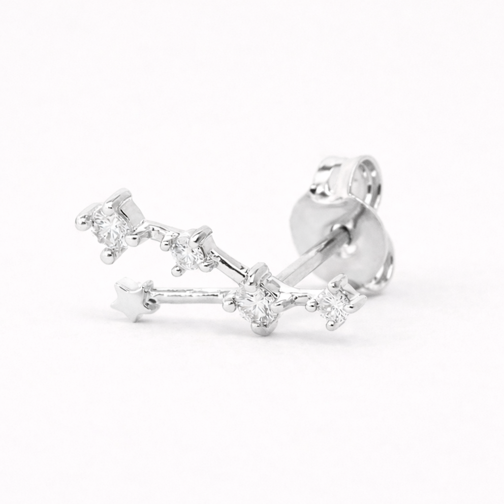 Zodiac Stud EARRINGS