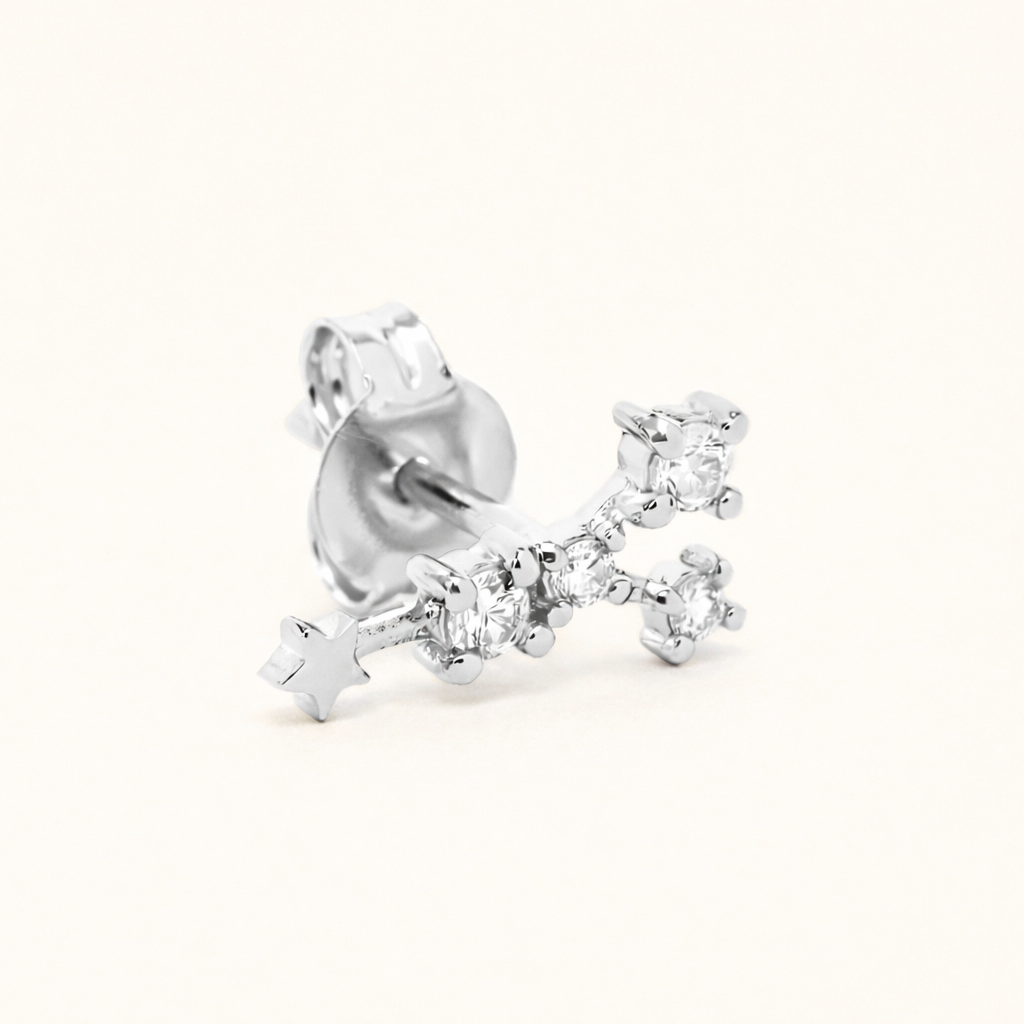 Zodiac Stud EARRINGS