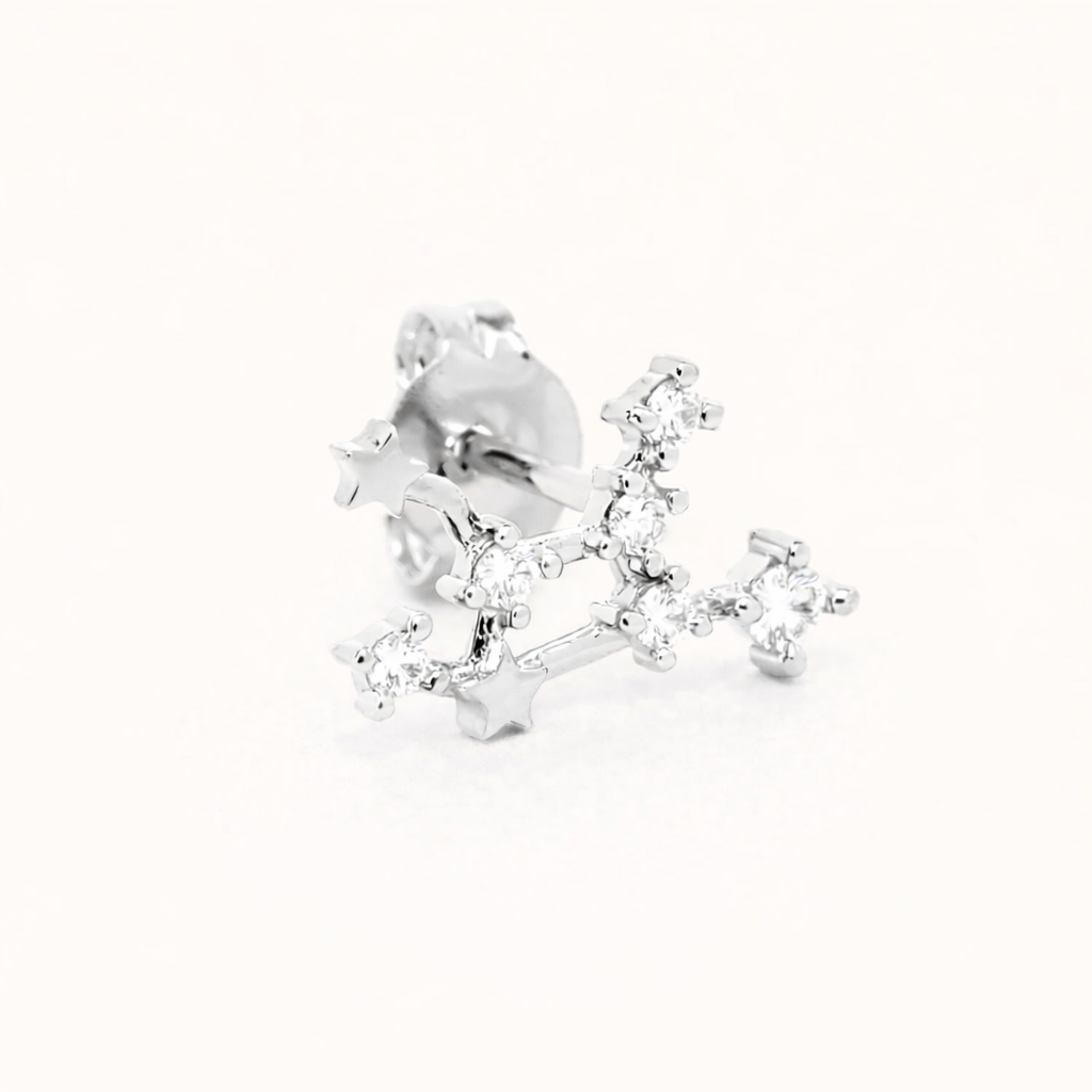 Zodiac Stud EARRINGS