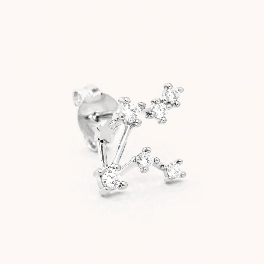 Zodiac Stud EARRINGS