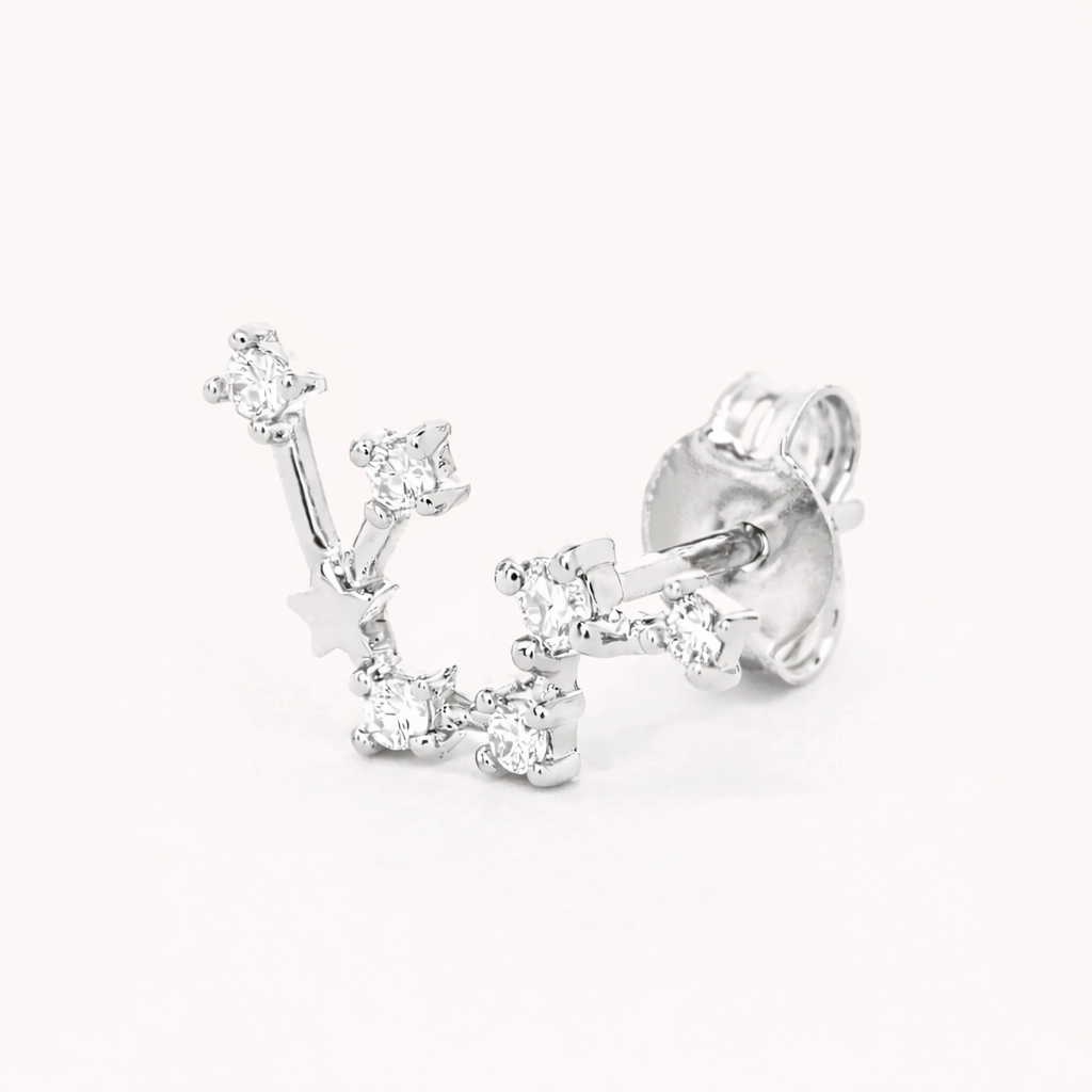 Zodiac Stud EARRINGS