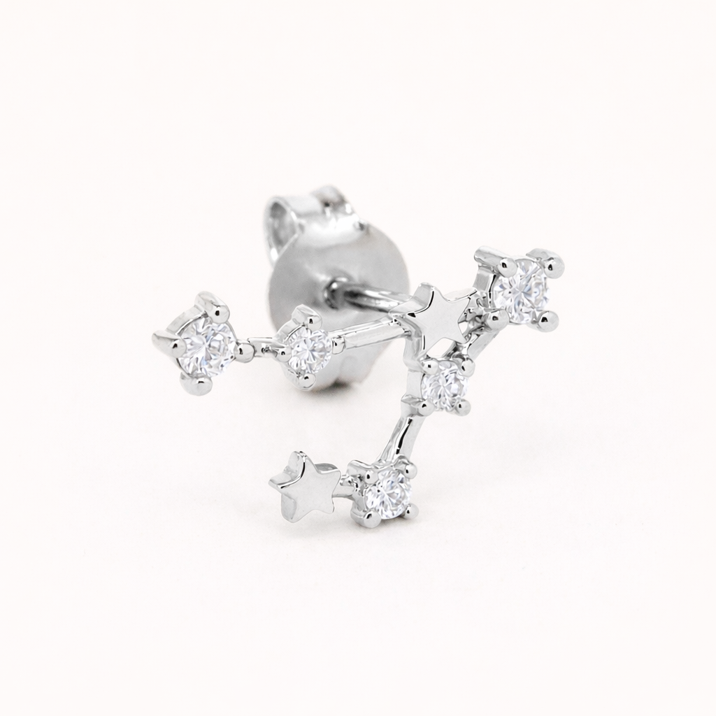 Zodiac Stud EARRINGS