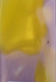 Mariposa HAIR CLIP Folie à Trois