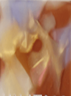 Mood Du Jour HAIR CLIP Folie à Trois