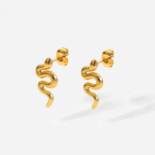 Unexpected Thrills EARRINGS